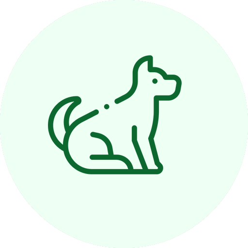 طيور